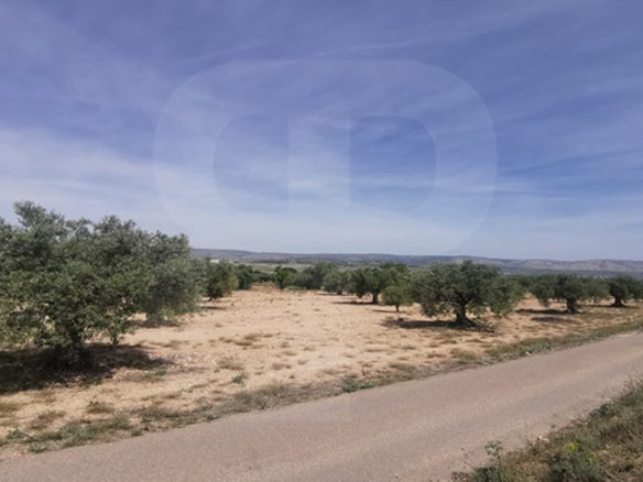 banyeres-propiedades-servicios-inmobiliarios-propiedad-bi001