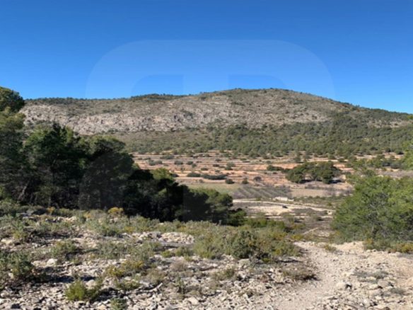 banyeres-propiedades-servicios-inmobiliarios-propiedad-ib001