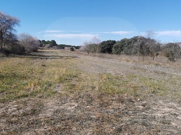 banyeres-propiedades-servicios-inmobiliarios-propiedad-by229