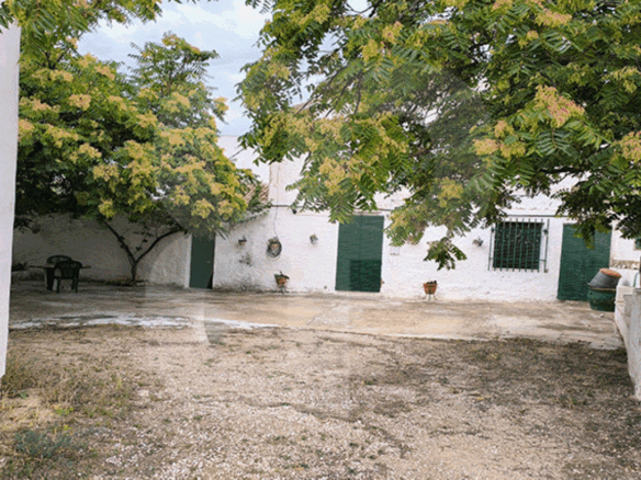 banyeres-propiedades-servicios-inmobiliarios-propiedad-by291