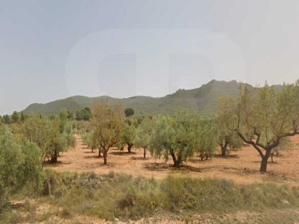 banyeres-propiedades-servicios-inmobiliarios-propiedad-bi002