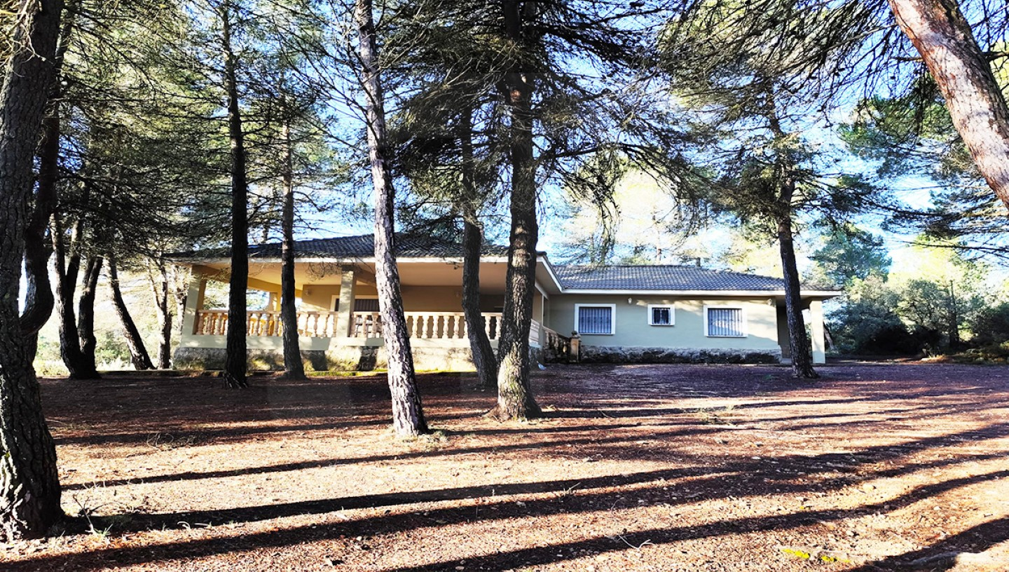 banyeres-propiedades-servicios-inmobiliarios-propiedad-boc001