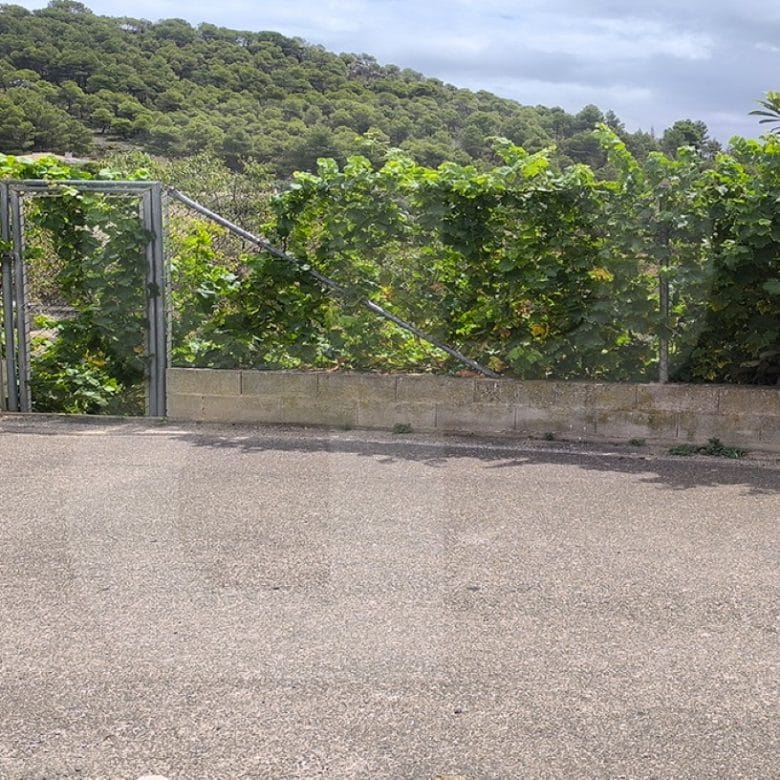 banyeres-propiedades-servicios-inmobiliarios-propiedad-by328