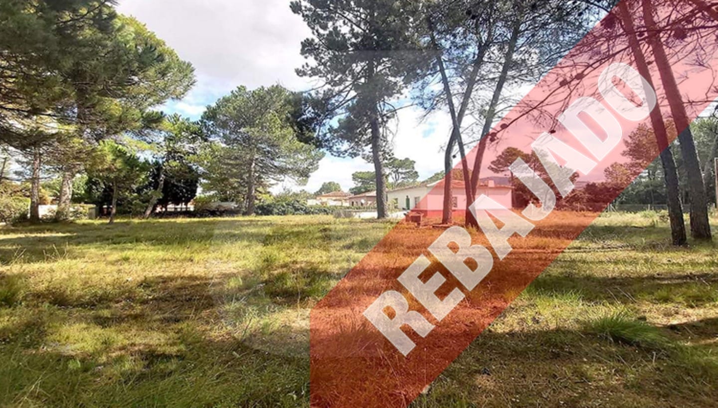 boc BOC007.28 banyeres-propiedades-servicios-inmobiliarios-propiedad-boc007